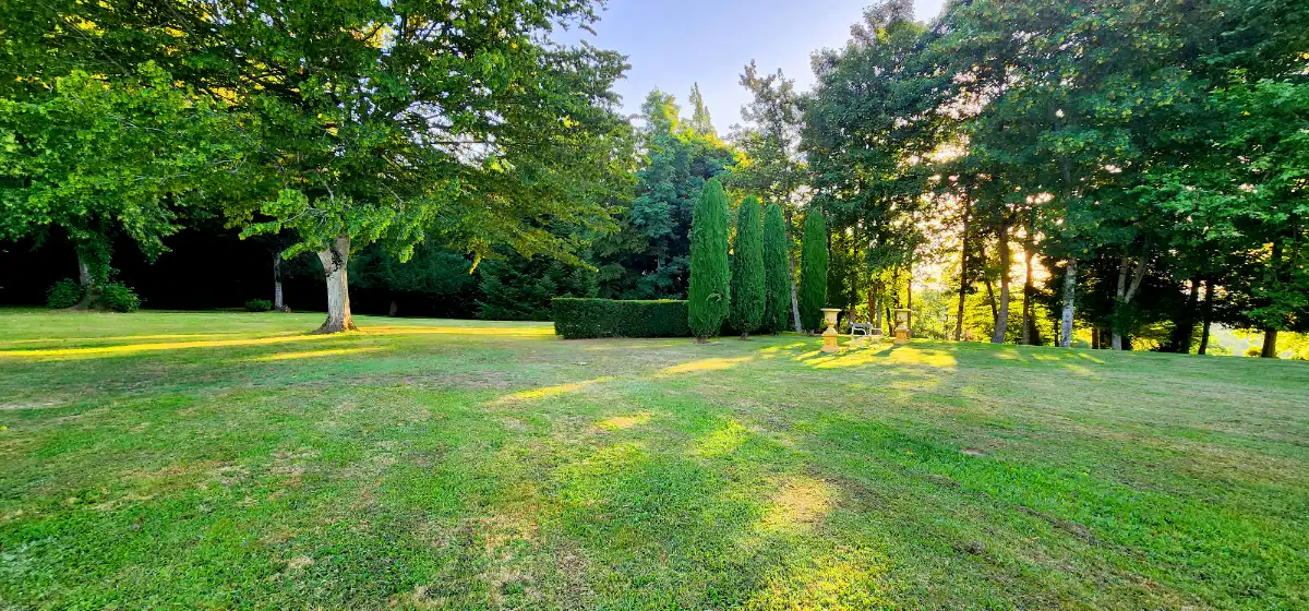 Well-manicured lawn with tall, trimmed trees
