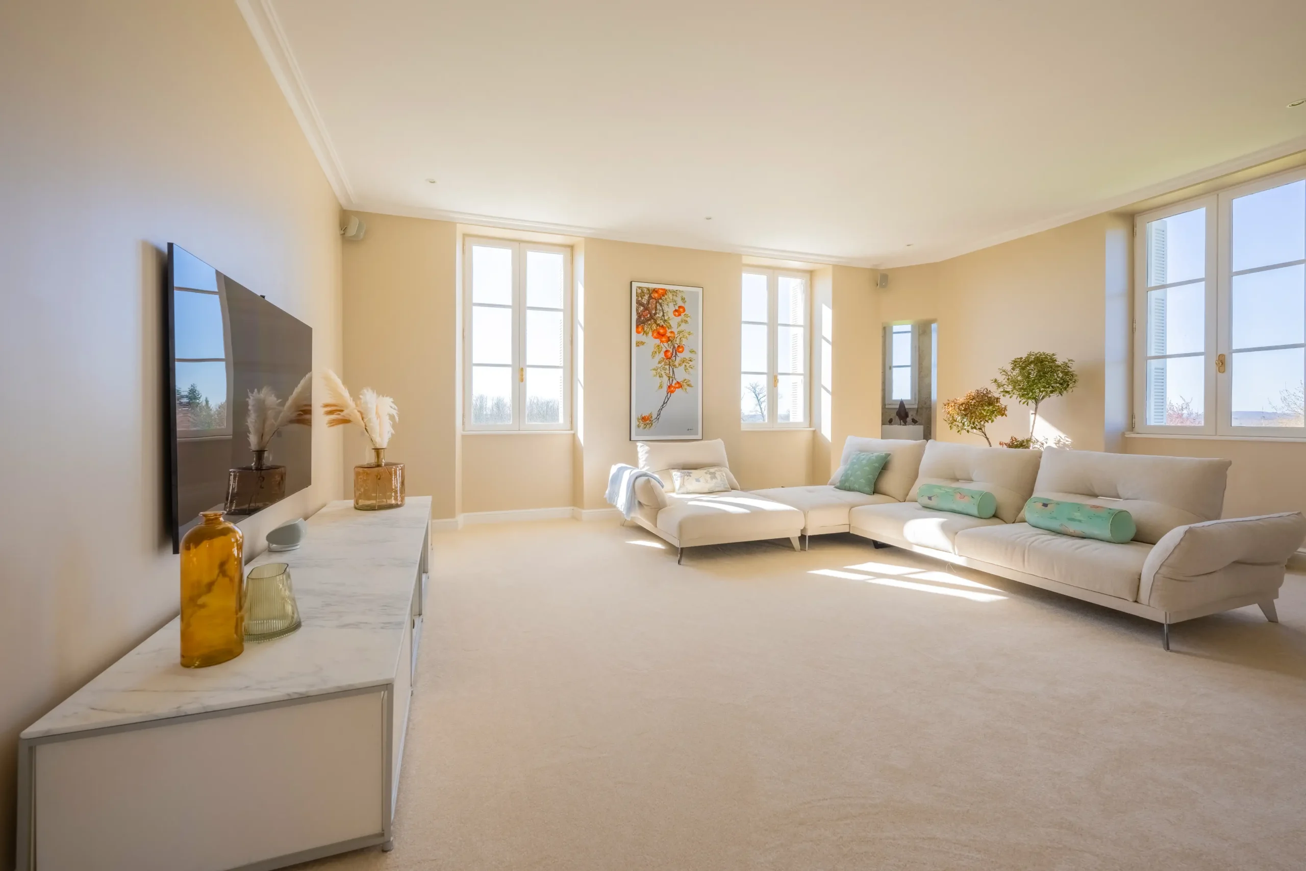 Entertainment Room of the 1 Floor