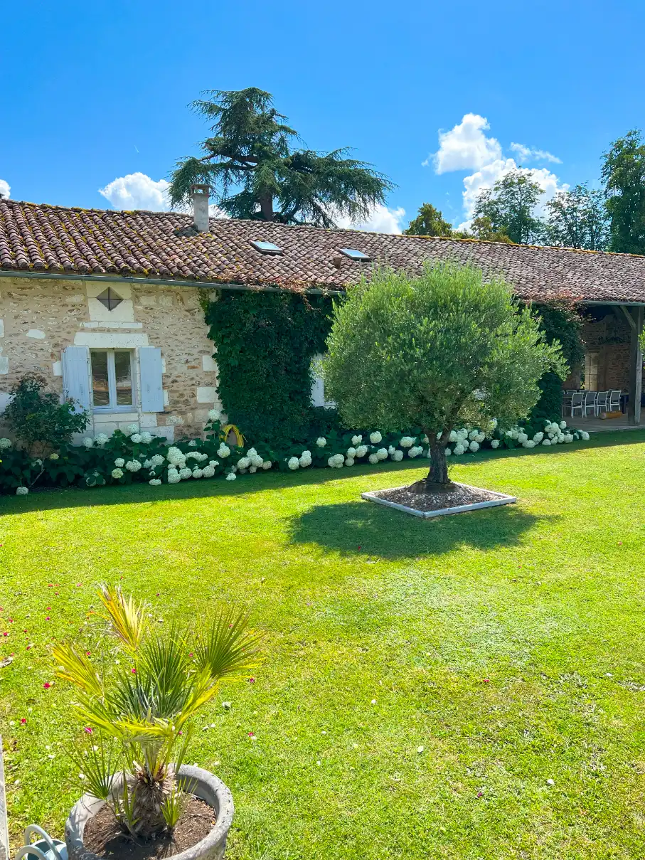Lush green garden with a tree in front of a stone house