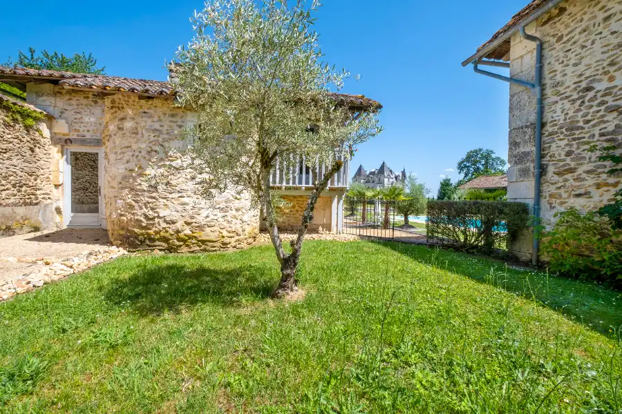 Green garden with an olive tree and stone wall