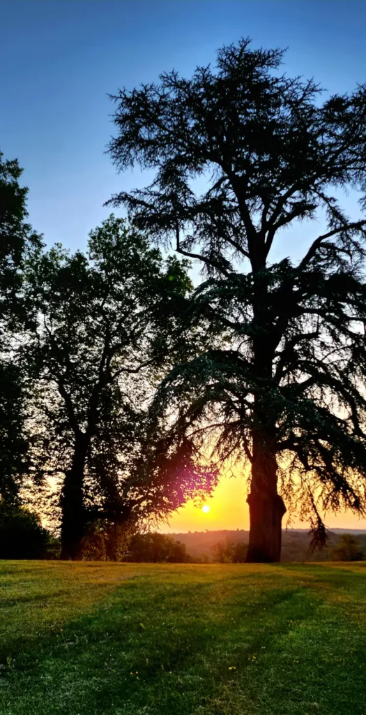 Outdoor heated pool with a view of the Château