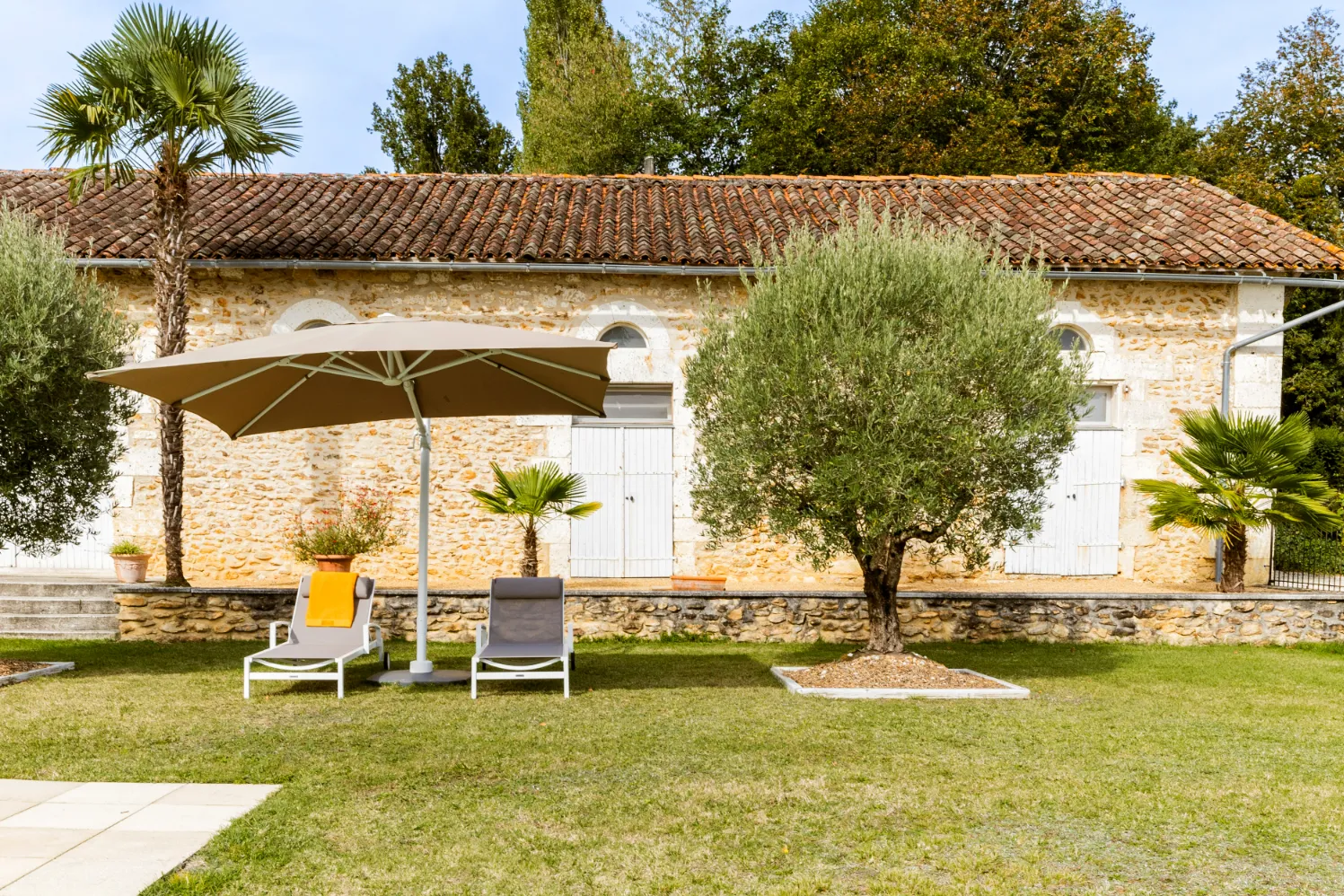 Cozy patio with outdoor seating under an olive tree