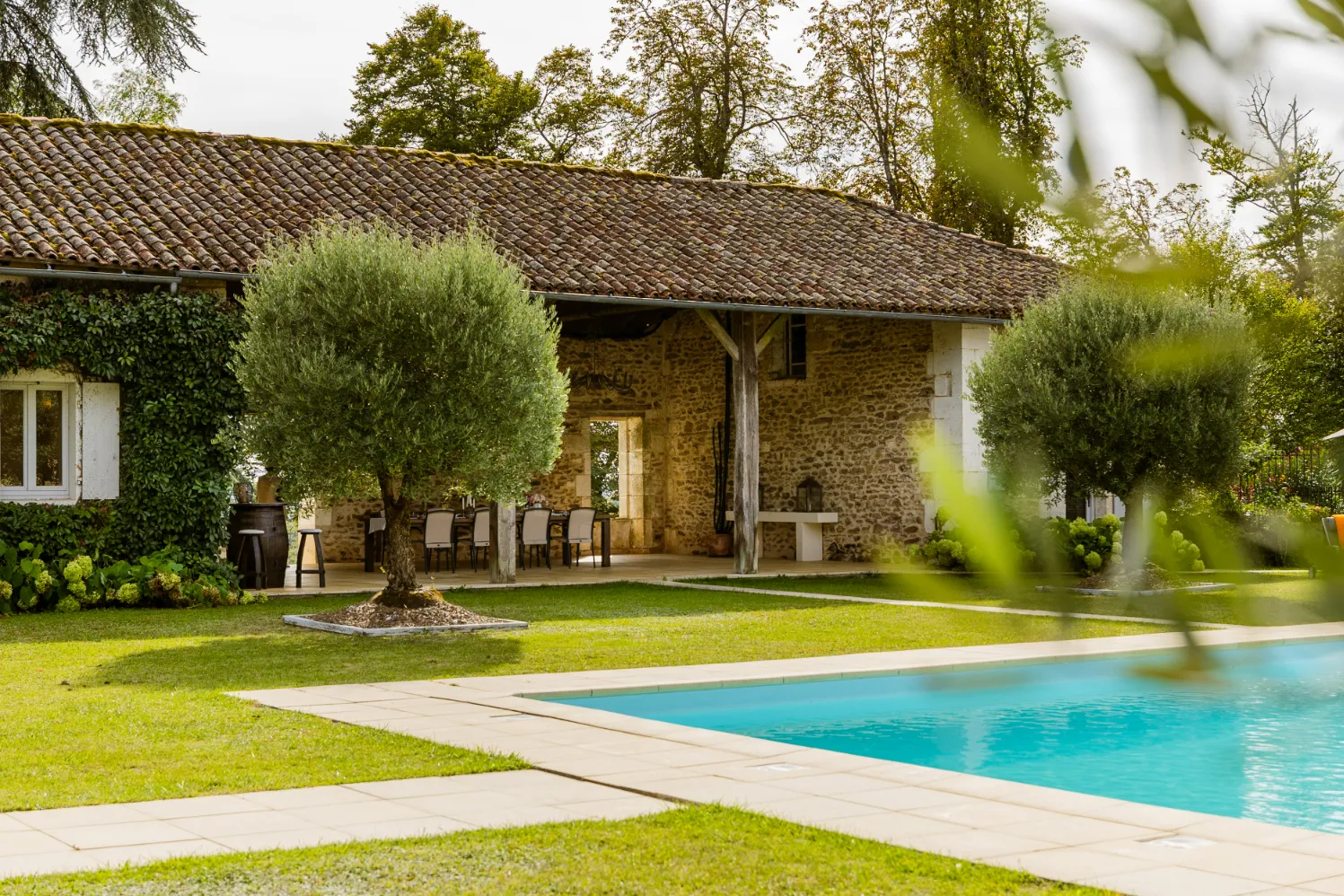 Stone cottage with olive trees beside a swimming pool