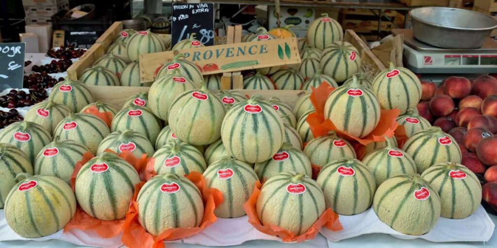 Stacked Cavaillon melons with labels at a Provence market during the Melon Festival


