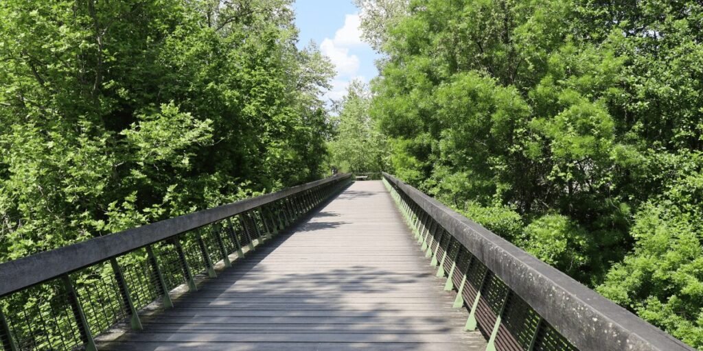 Image from Canva. Foot bridge on Charente River