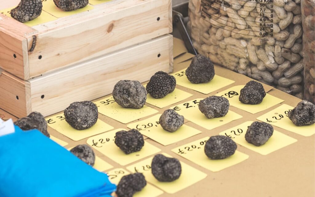 Dordogne farmer market