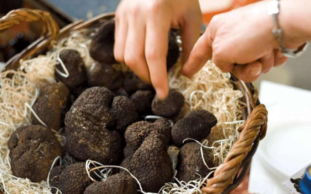 truffles in basket
