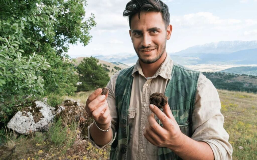 Dordogne truffle trail