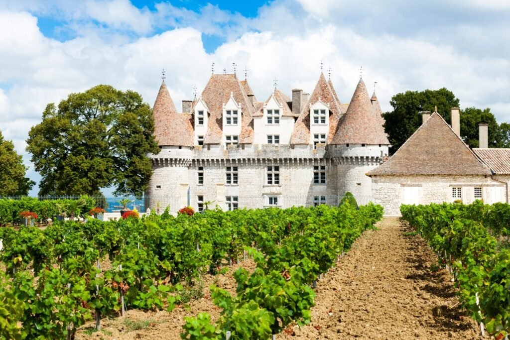 Monbazillac Castle with vineyard, Aquitaine